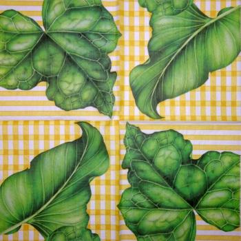 001 Plants - 3 ply - Molca